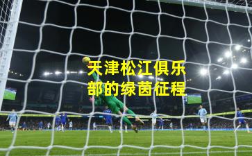 天津松江俱乐部的绿茵征程