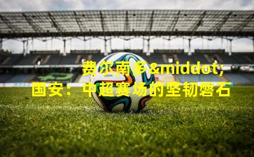 费尔南多·国安：中超赛场的坚韧磐石